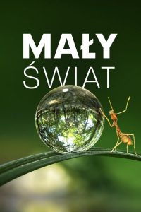 Mały świat: Season 1