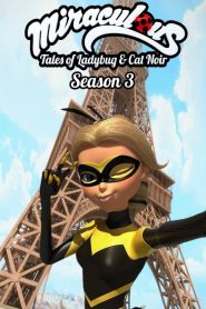 Miraculous: Biedronka i Czarny Kot: Season 3