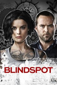 Blindspot: Mapa zbrodni: Season 2